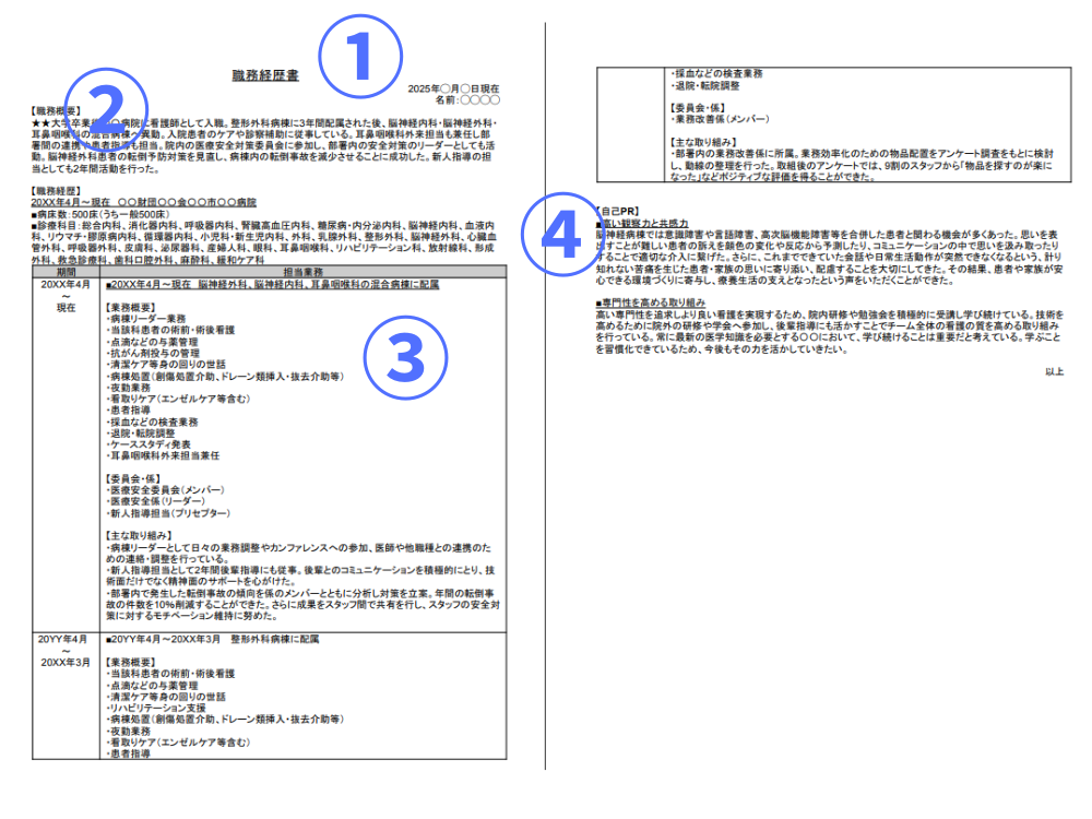 ナース　職務経歴書の画像