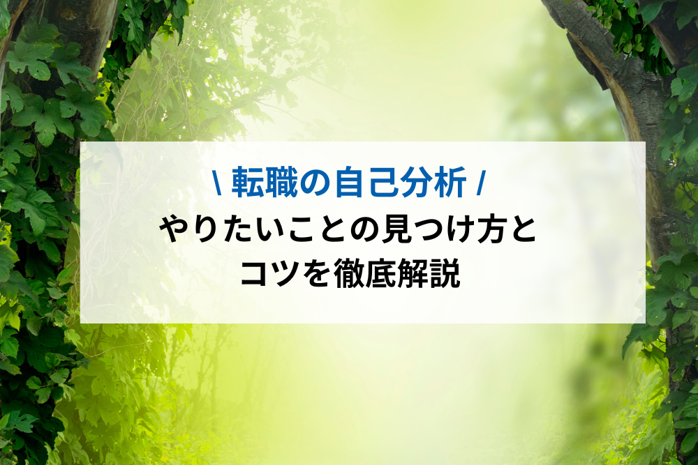 転職の自己分析
